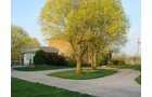 Property photo 47 - REAL ESTATE AUCTION! Grand Historic All Brick Home on 2.45 Acres!